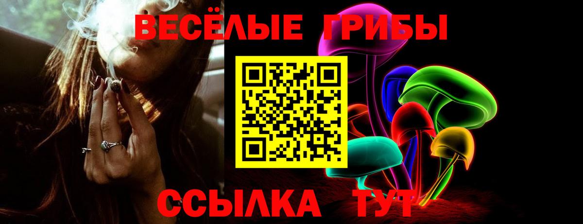 Псилоцибиновые грибы Cubensis  Вход с VPN  Псилоцибиновые грибы Cubensis  купить наркотики цена  Ростов-на-Дону 